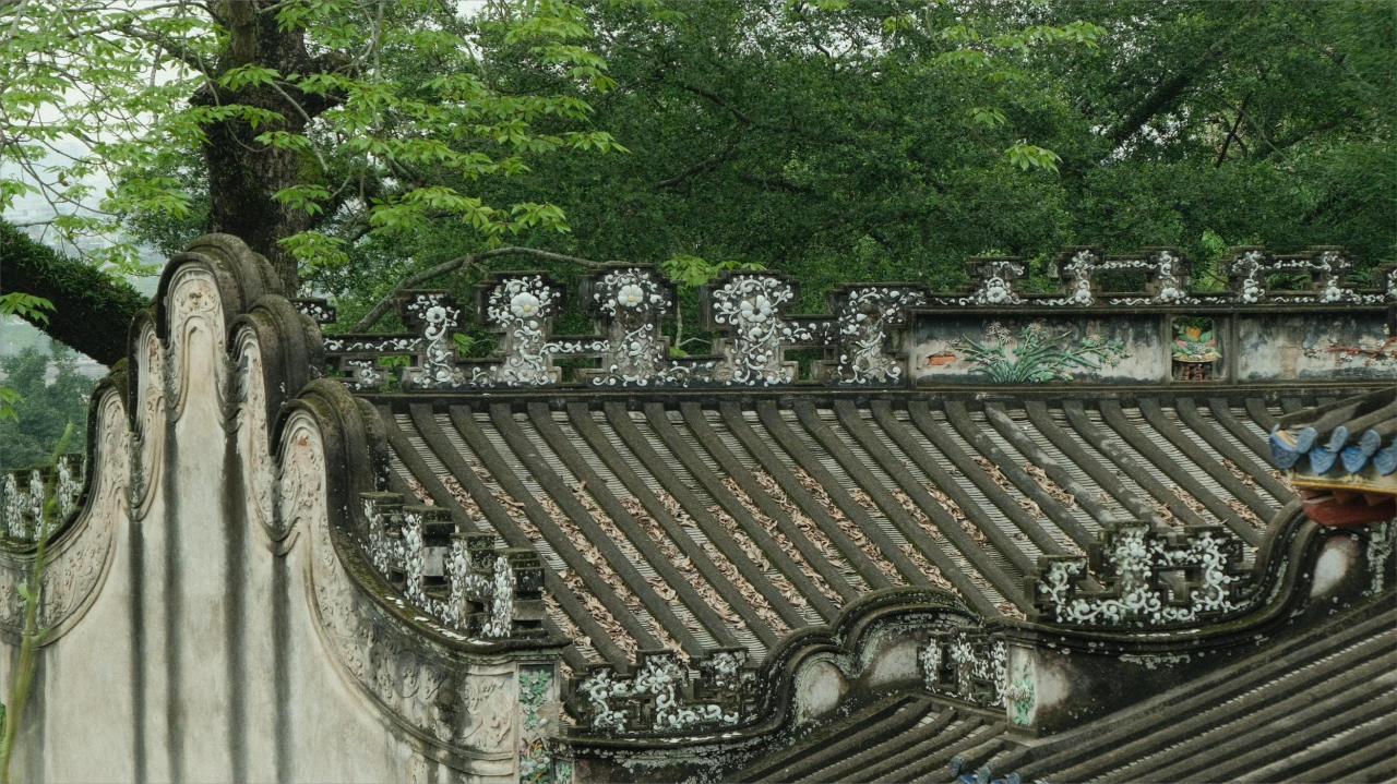 微信图片_202405201002163(1)(1)