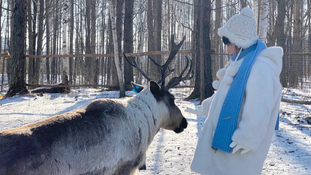 亚布力驯鹿部落