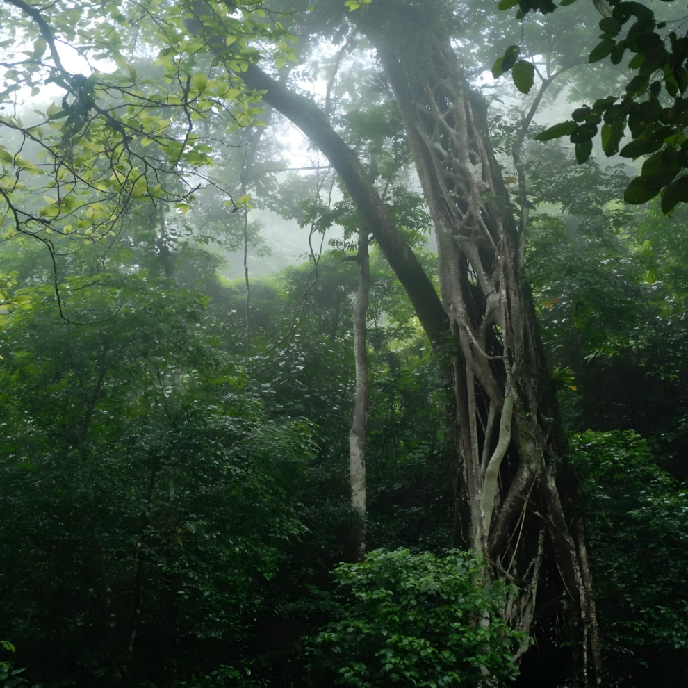 bda8fb8687a6659744076de106f3621d(1) bda8fb8687a6659744076de106f3621d(1)