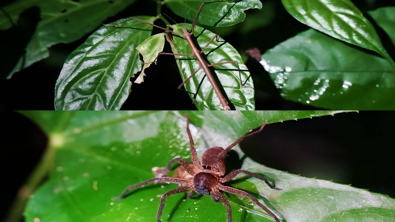 微信图片_20251031161256_393_195(1)