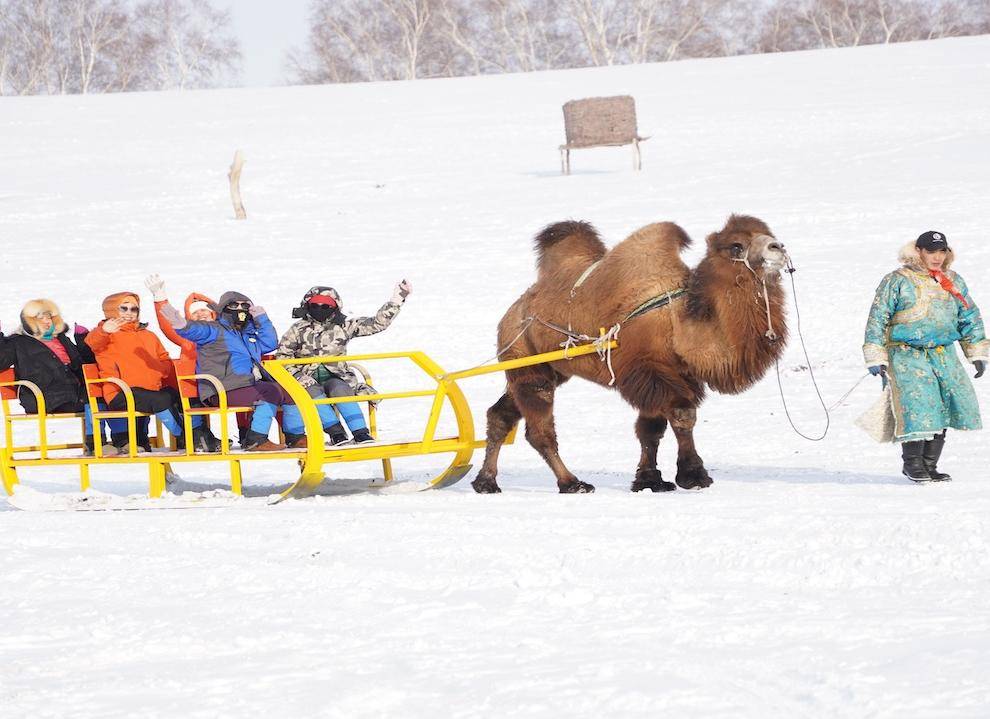 微信图片_20251016203950_682_15 微信图片_20251016203950_682_15