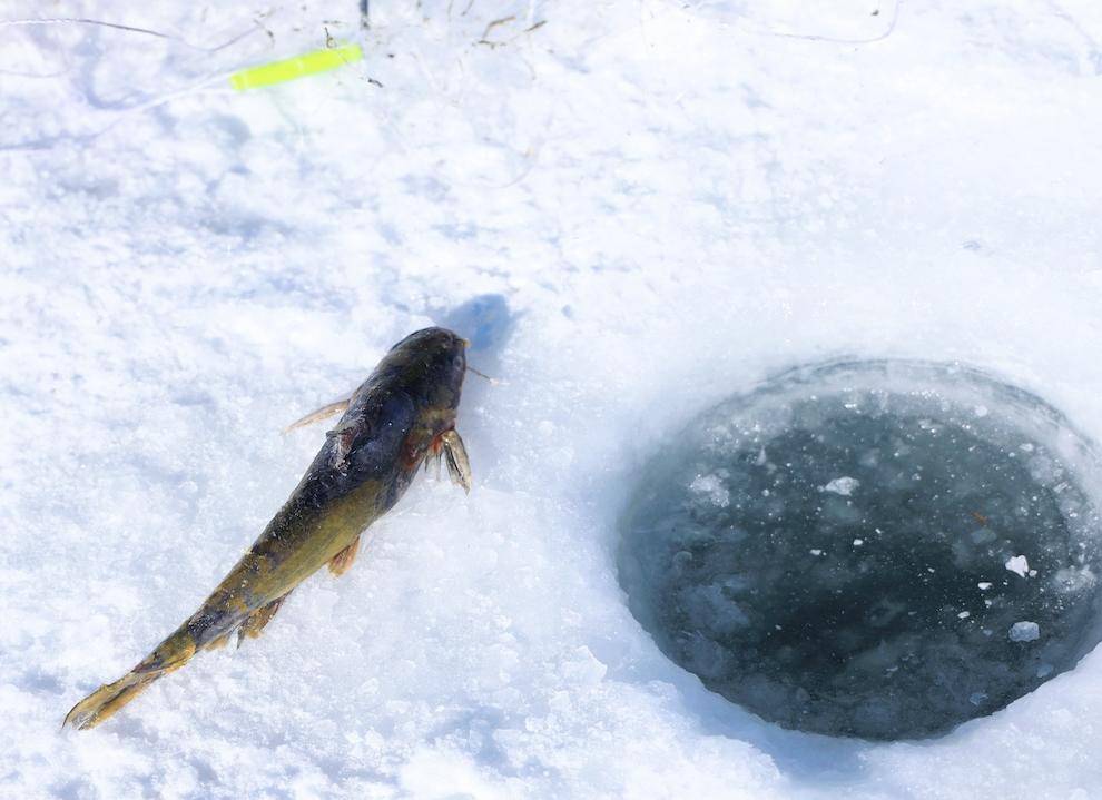 微信图片_20251021180007_116_710 微信图片_20251021180007_116_710