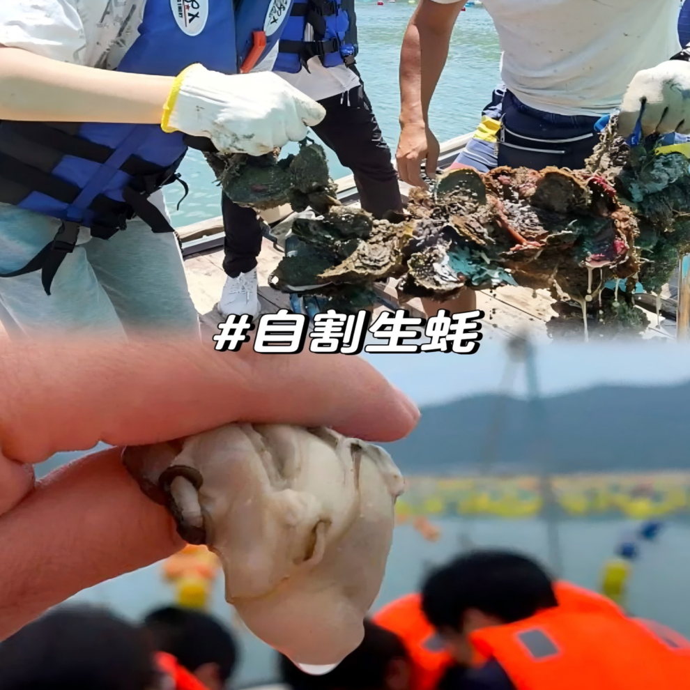 割生蚝(1) 割生蚝(1)