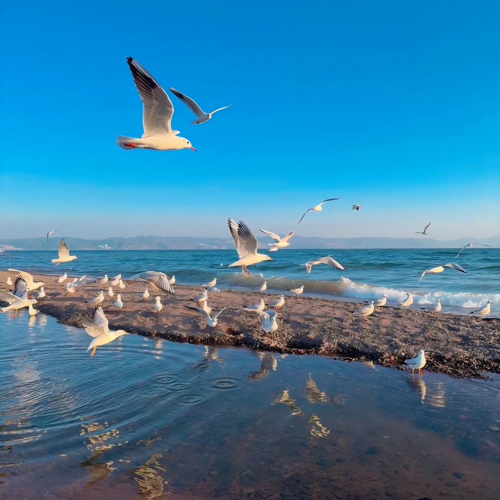 抚仙湖(1) 抚仙湖(1)